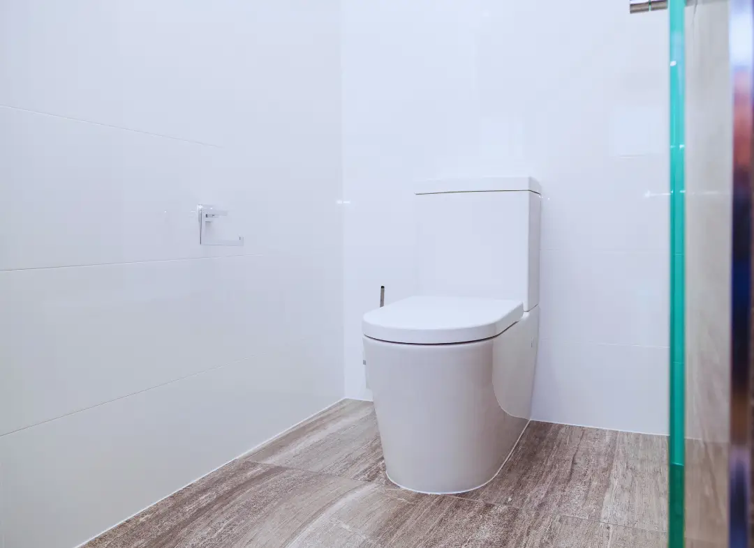 Remplacement de wc Cloyes-les-Trois-Rivières