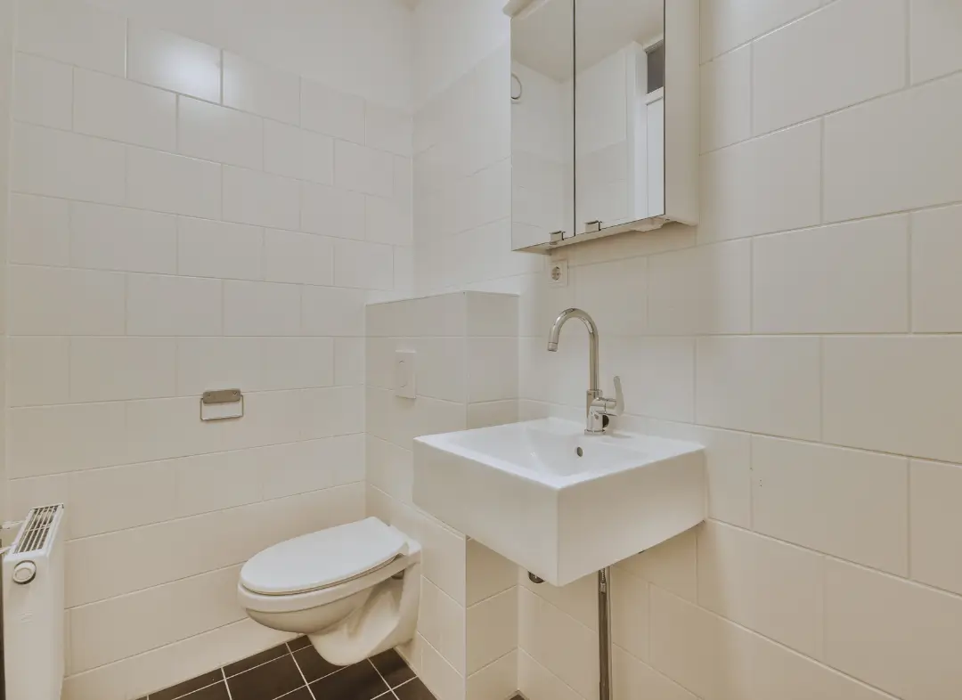 Pose WC Suspendu Cloyes-les-Trois-Rivières